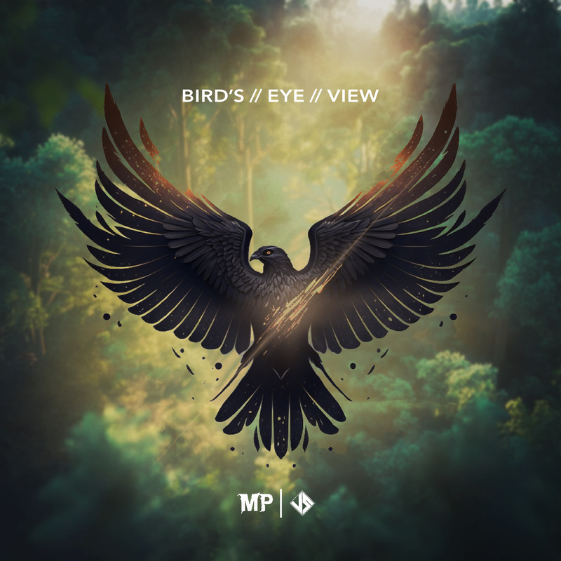 bird's eye view matthew parker
